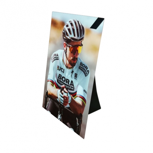 [72068-003-01] Banner Cycling Speed Trap Craft Sagan